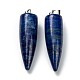 Naturales lapis lazuli colgantes G-D040-01P-B10-2