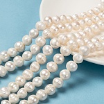 Fili di perle di perle d'acqua dolce coltivate naturali, patata, bianco crema, 10~11mm, Foro: 0.8 mm, circa 37pcs/filo, 13.77 pollice~14.17 pollici