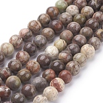 Fili di perline di gemstone naturale, oceano diaspro, tinto, tondo, marrone, 6mm, Foro: 1 mm, 15.7 pollice, circa 60pcs/filo