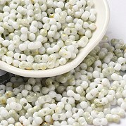 Выпечка краска стеклянные бусины SEED-F005-01A-10