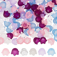 600 шт. 6-х цветные прозрачные акриловые бусины и колпачки для бусин&nbsp;TACR-SC0001-16