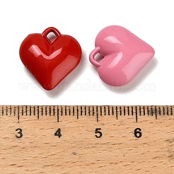 Акриловые подвески с краской для запекания OACR-H059-01C