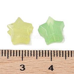 蓄光アクリルビーズ  スター  暗闇で光るビーズ  ミックスカラー  8.5x9x5.5mm  穴：3.8mm&nbsp;X1-OACR-H119-04