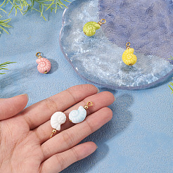 5 шт. подвески в форме фарфоровой ракушки&nbsp;PALLOY-TAC0222