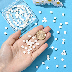 2 нить бусин из натуральных пресноводных ракушек&nbsp;SSHEL-SC0001-36A