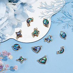 12 шт. 6 стиля подвески-соединители из ракушки пауа&nbsp;FIND-FH0007-96G