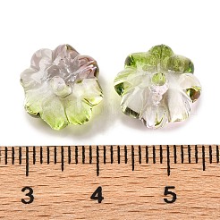 633шт прозрачные двухцветные акриловые бусины&nbsp;MACR-K359-22C