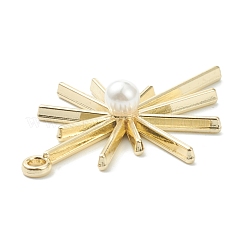 Подвески из сплава  PALLOY-E580-05LG