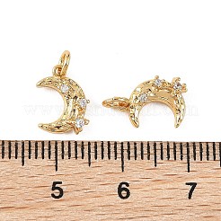 Breloques en laiton Shegrace avec micro-pavé de zircone cubique transparente&nbsp;XGRQ4N234-702G