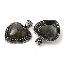 Pendenti naturali di pietra misti&nbsp;G-A095-01AS
