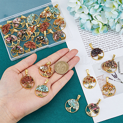 32 шт. 8 цвета подвески из сплава в тибетском стиле&nbsp;PALLOY-FH00018