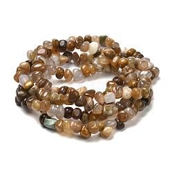 Природные окаменелое дерево бисер пряди G-G031-01