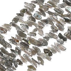 Природные лабрадорита бисер нитей&nbsp;G-Z124-C01-01