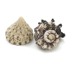 Натуральные бусы из ракушек и ракушек&nbsp;SHEL-XCP0001-10