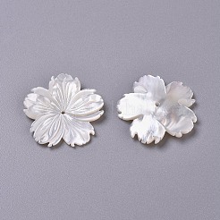 Натуральные белые бусины из ракушек BSHE-XCP0001-84