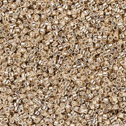 Miyuki Delica Perlen&nbsp;SEED-X0054-DB0433
