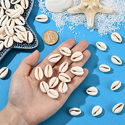 100 шт. бусины из натуральной ракушки каури BSHE-LT0001-07B