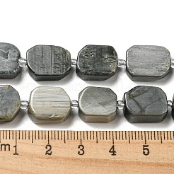 Натуральный орлиный глаз бусы G-G072-B01-01