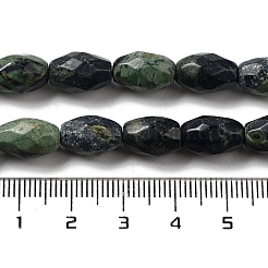 Натуральные пряди камбабы из яшмы G-P520-C20-01