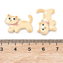 Подвески из сплава краски для выпечки&nbsp;FIND-G109-04B