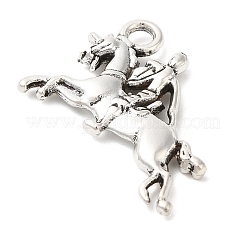 Tibetischen Stil Zink-Legierung Anhänger&nbsp;TIBEP-R334-305AS-RS