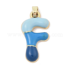 Pendentifs d'émail en alliage&nbsp;ENAM-S023-01G-F