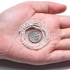 Нити из натурального культивированного пресноводного жемчуга PEAR-N012-02H