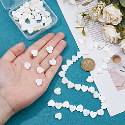 3 нить бусин из натуральных пресноводных ракушек&nbsp;SHEL-HS0001-12