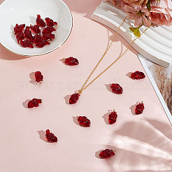 22шт подвески из прозрачной смолы&nbsp;RESI-ME0001-14