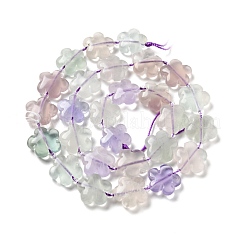 Perline fluorite naturale fili&nbsp;G-D475-02A