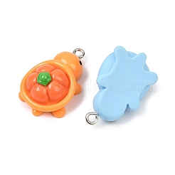 Непрозрачные подвески из смолы с фруктовой тематикой&nbsp;RESI-H043-01P