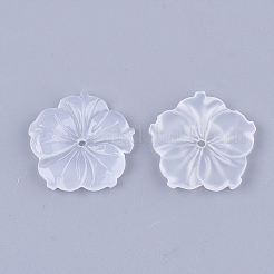 Прозрачные бусины из смолы X-RESI-T040-002B