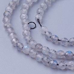 Chapelets de perles en labradorite naturelle &nbsp;G-F619-15-4mm