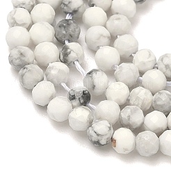 Природные Говлит бисер нитей&nbsp;G-B168-A01-3mm