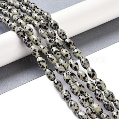 Природные яшмы далматин бисер нитей G-K362-I14-06