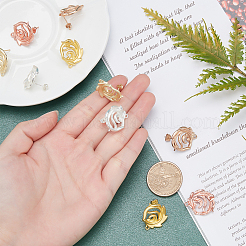 5 пара двухцветных сережек-гвоздиков из сплава PALLOY-AR0001-18