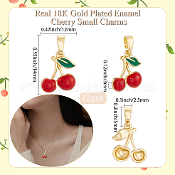 12шт латунные эмалированные подвески KK-BBC0019-47