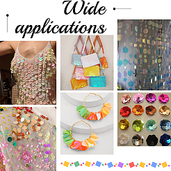 80 g 10 colori pendenti in paillettes in pvc&nbsp;FIND-SC0023-20D