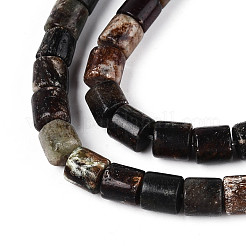 Природного биотита нитей бисера G-T141-88A