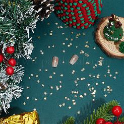500 pièce de décoration d'ongle en alliage&nbsp;FIND-SC0020-90
