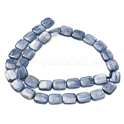 Натуральный кианитовые бисер пряди&nbsp;G-H335-I01-10x12mm