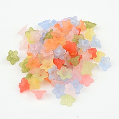 Colore misto satinato perline fiore acrilico trasparente&nbsp;X-M-PL554