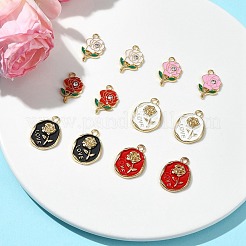 12шт 6 стиля подвески из сплава с эмалью&nbsp;FIND-FS0002-05