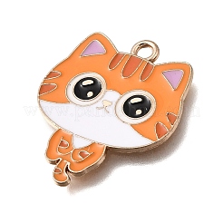 Pendentifs d'émail en alliage&nbsp;FIND-E047-02KCG-09