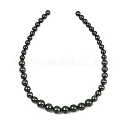 Rangs de perles de nacre de coquillage électroplaquées de taille dégressive&nbsp;BSHE-C011-04-02