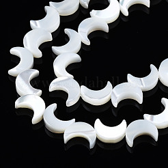 Нити бусин из натуральных трохоидных/трохус ракушек SSHEL-S266-025A-01