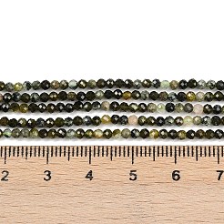 Природные пренит нитей бисера G-L628-B11-2mm