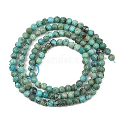 Naturali Hubei perline turchesi fili&nbsp;GG-CBA767B-A02-3MM