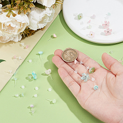 12 пара сережек-гвоздиков из смолы 12 стилей&nbsp;EJEW-PH0001-31