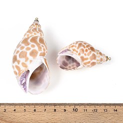 Натуральные морские раковины большие подвески SSHEL-T017-35